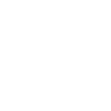 EVIT Card Icon