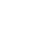 EVIT Card Icon