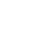 EVIT Card Icon